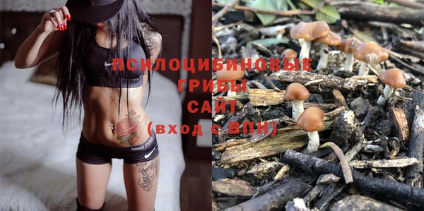 метадон Новозыбков